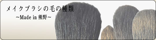 �ᥤ���֥饷���Ӥμ���